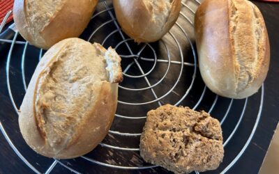 Eiweißbrötchen